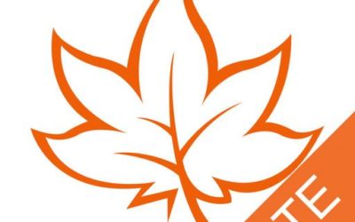 MindMapple Lite